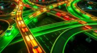 frog crossing traffic patterns