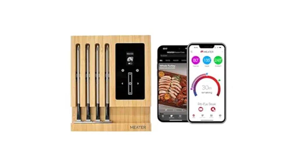 wireless meat thermometer system
