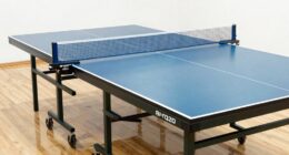 stable fast ping pong table