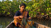 TIL that there are over 3,000 ‘tiger widows’ in the Sundarbans. These women, whose husbands have been killed by tigers, are often shunned by their communities over the belief that tiger widows are bad omens.